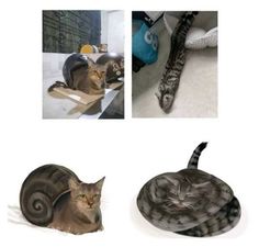 Innehåller en bild av: 